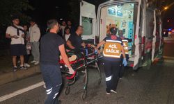 Bursa-Yalova yolunda zincirleme kaza: Otomobil refüje çıkıp ağaca çarptı