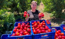 Tarlada 15, markette 100 TL: Bursalı çiftçi isyan etti!