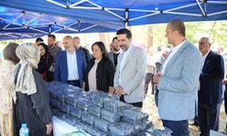 İznik’te maviyemiş hasadı festivale dönüştü