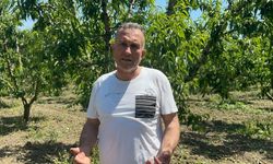 Bursa’da gübreye tek kuruş ödemiyor: Ürünleri kapış kapış gidiyor
