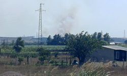Karacabey’de makilik alanda orman yangını