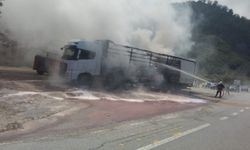 Yol kenarındaki tırın dorsesinde yangın çıktı