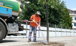 Osmangazi’de yeşil alanlarda titiz çalışma