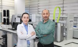 Hayvan yemi olarak kullanılıyordu: BTÜ ekonomiye kazandıracak
