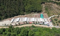 Gemlik’te hayvan yaşam alanına ziyaret yasağı tepki çekti