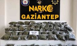 71 ilde 832 kilogram uyuşturucu madde ile 425 bin 419 adet uyuşturucu hap ele geçirildi