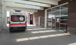 Adıyaman'da minibüs devrildi: 13 yaralı