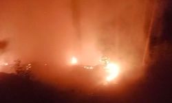 Alanya'da ormanlık alan yangınında 2 dönüm alan zarar gördü