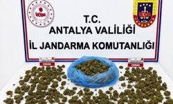 Alanya'da uyuşturucu operasyonunda 745 gram esrar ele geçirildi