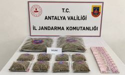 Antalya'da 5 kilogram skunk esrar maddesi ele geçirildi