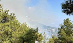 Antalya'da iki ilçede çıkan orman yangınına müdahale ediliyor