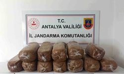 Antalya'da üç ilçede kaçak tütün operasyonu: 785 kilogram tütün ele geçirildi
