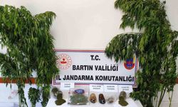 Bartın'da uyuşturucu operasyonu: 1 gözaltı
