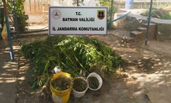 Batman'da kaçakçılık operasyonlarında çok sayıda kaçak ürün ele geçirildi