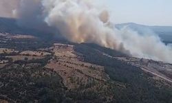 Bayramiç'te orman yangını helikopterden görüntülendi