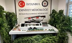 Beykoz'da uyuşturucu operasyonu: 117 kök hint keneviri ve çok sayıda silah ele geçirildi