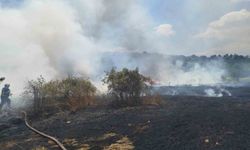 Bilecik'te çıkan yangında 30 dönümlük hasadı yapılmış buğday tarlası kül oldu