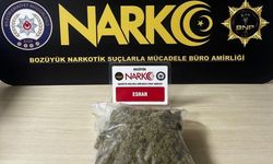 Bilecik'te uyuşturucu operasyonu: 2 gözaltı