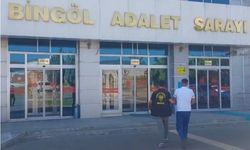 Bingöl'de hırsızlık yapan şüpheli tutuklandı