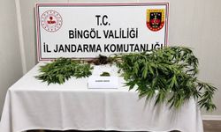 Bingöl'de kesinleşmiş hapis cezası bulunan 6 zanlı yakalandı