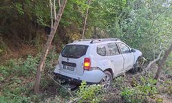 Bingöl'de otomobil bahçeye uçtu: 2 yaralı