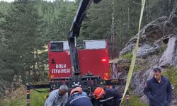 Bolu'da 50 metrelik uçuruma düşen inek vinçle kurtarıldı