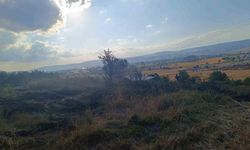 Bolu'da anız yangını ağaçlık alana sıçramadan söndürüldü