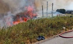 Burhaniye'de ot yangını trafiği etkiledi