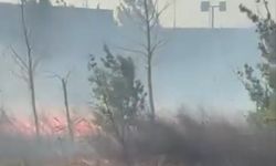 Bursa'da fabrikanın yanındaki arazide korkutan yangın