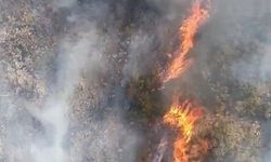 Bursa'da orman yangını...Havadan karadan yoğun müdahale başladı