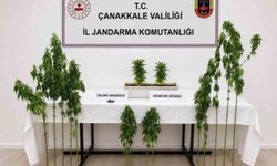 Çanakkale'de 3 ilçede uyuşturucu operasyonu