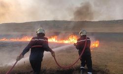 Cezayir'de son 24 saatte 6 bölgede 72 orman yangını