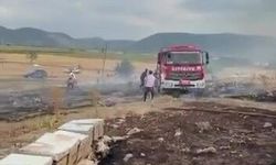 Denizli'de yangında arılar telef oldu