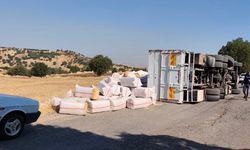 Diyarbakır'da saman yüklü kamyon devrildi
