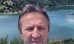 Domuz avında faciayla biten hata: Kuzenini yaban domuzu sanıp vurdu