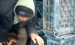 Düzce'de 7 düzensiz göçmen yakalandı