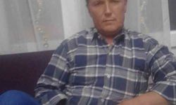 (Düzeltme) Tomrukların altında feci şekilde can verdi
