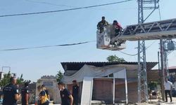Elektrik direğinde erkek cesedi bulundu