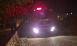 Eskişehir'de bir parkta kasten çıkarılan yangın ekipleri teyakkuza geçirdi