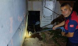 Evin deposuna giren yılan ekipleri harekete geçirdi