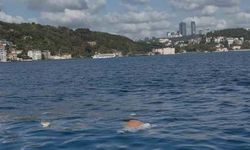 FSM Köprüsü'nden denize atlayan kişiyi vatandaşlar kurtardı