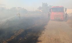 Hassa'da zeytinlik yangını yaşandı