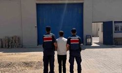 Hırsızlık suçundan hapis cezası ile aranan şahsı jandarma yakaladı
