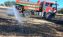 Hisarcık'ta anız yangını 5 dekarlık alana zarar verdi