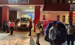 Huysuzlaşan inek sahibini ağır yaraladı