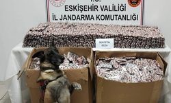 Jandarma 84 bin adet sentetik ecza hapı ele geçirdi, 3 kişi tutuklandı