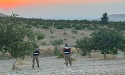 Jandarmadan fıstık nöbeti