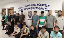 Kamyonette 19 düzensiz göçmen yakalandı: Sürücü tutuklandı
