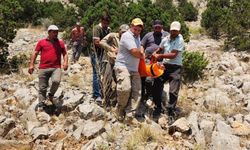 Karaman'da kayalıklardan düşen avcı yaralandı