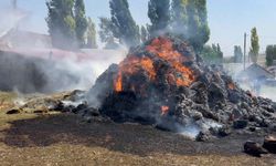 Kars'ta bin ot balyası kül oldu